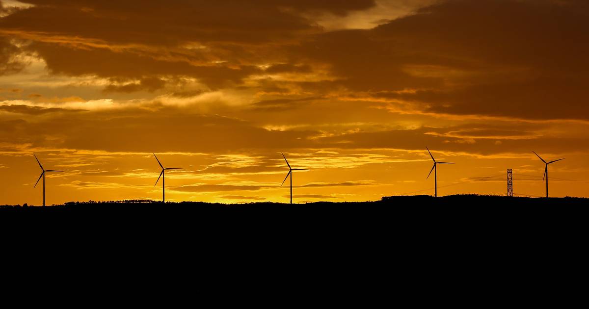 Windenergie beschleunigt sich in Portugal: Das Land hat seit 15 Jahren nicht so viel Windkraftleistung installiert
