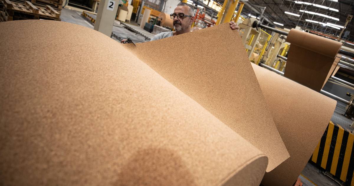 Lucro da Corticeira Amorim cai 31,7% para €25,2 milhões