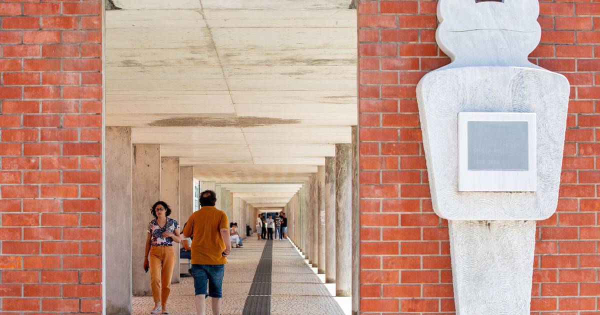 Universidade afirma-se como motor de crescimento