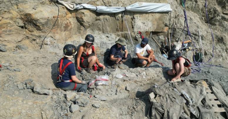 Escavações em Torres Vedras revelam o dinossauro mais completo alguma vez encontrado em Portugal