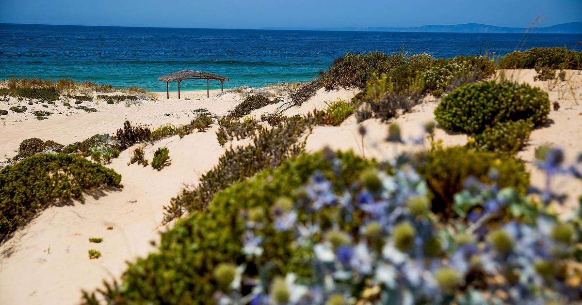 Cocaína encontrada na Comporta terá sido largada ao mar durante perseguição policial
