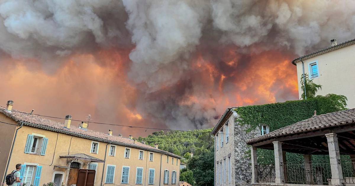 Porque ardem Espanha e França? "Temos uma visão Disney da floresta"