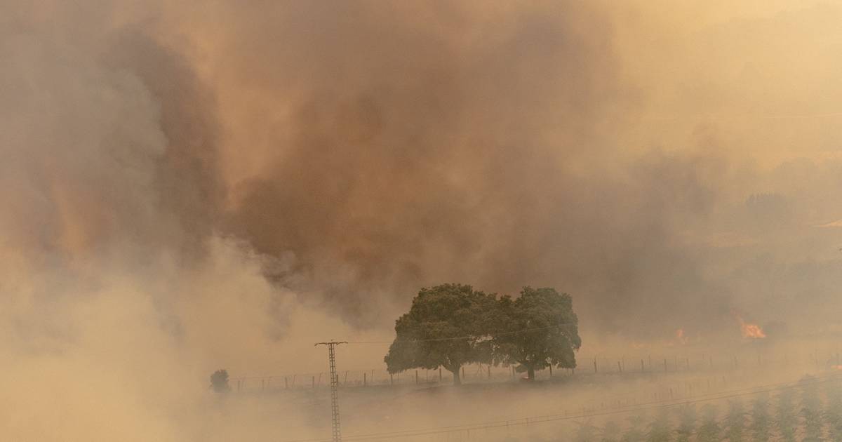 Quase 88 mil evacuados ou confinados: incêndios sem precedentes unem frentes de Madrid e Ávila