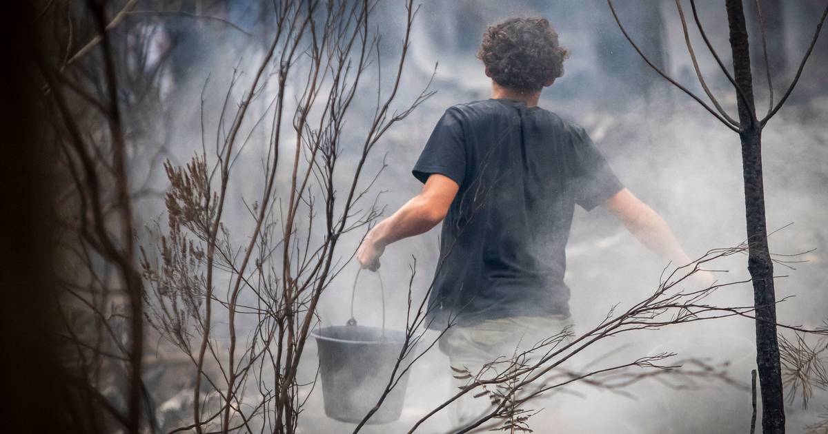 "Quando a tua mulher e o teu filho partem e não sabes como tudo vai acabar, não é fácil": franceses ficam para trás para salvar as suas casa