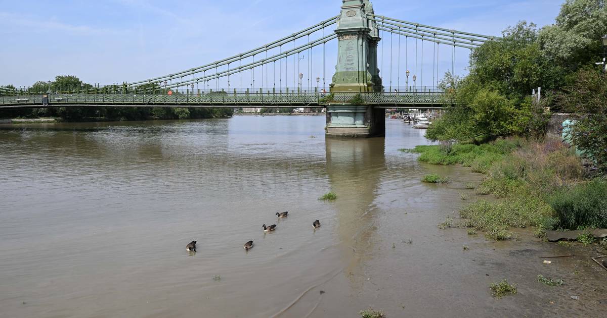 Inglaterra em estado de seca e a enfrentar quarta vaga de calor