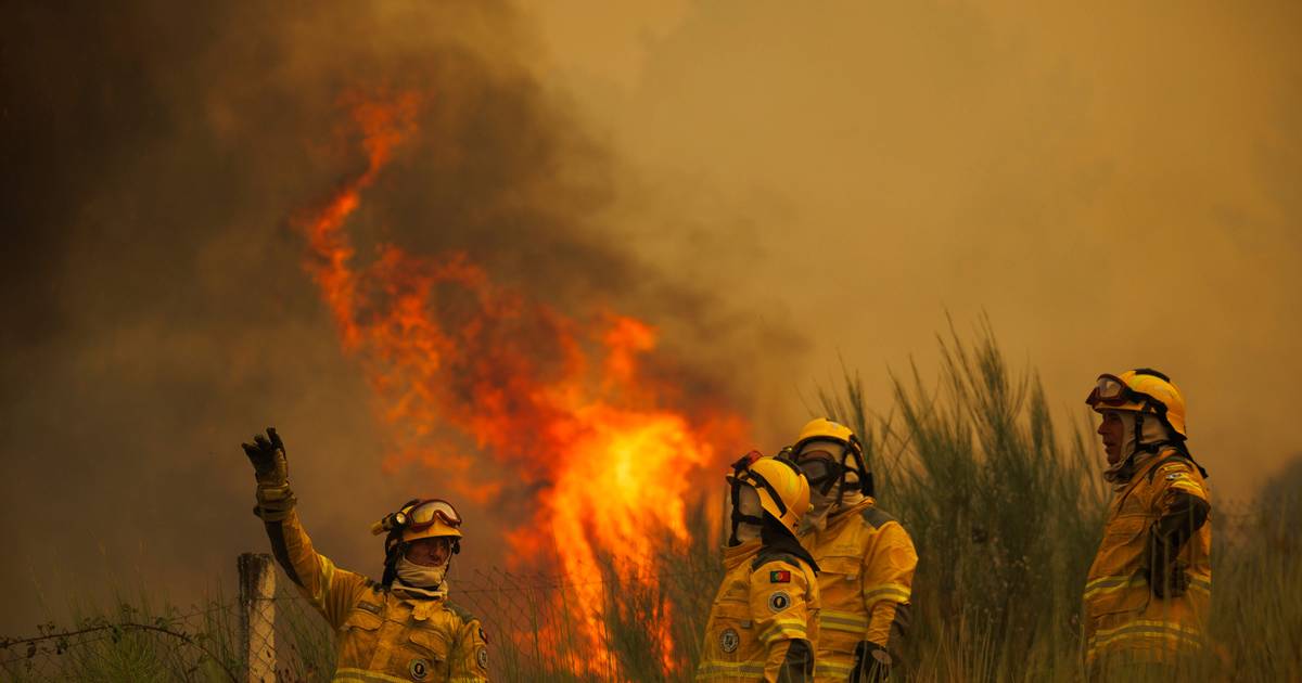 Quase 170 bombeiros e oito meios aéreos combatem incêndio em Carrazeda de Ansiães