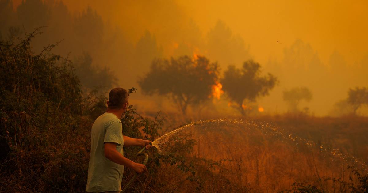 Perigo máximo de incêndio em 70 concelhos do interior Norte, Centro e Algarve