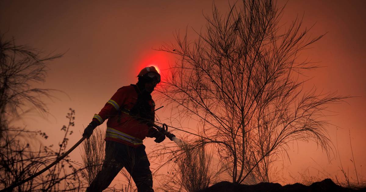 Incêndio de Valpaços mantém uma frente ativa entre Mirandela e Vinhais