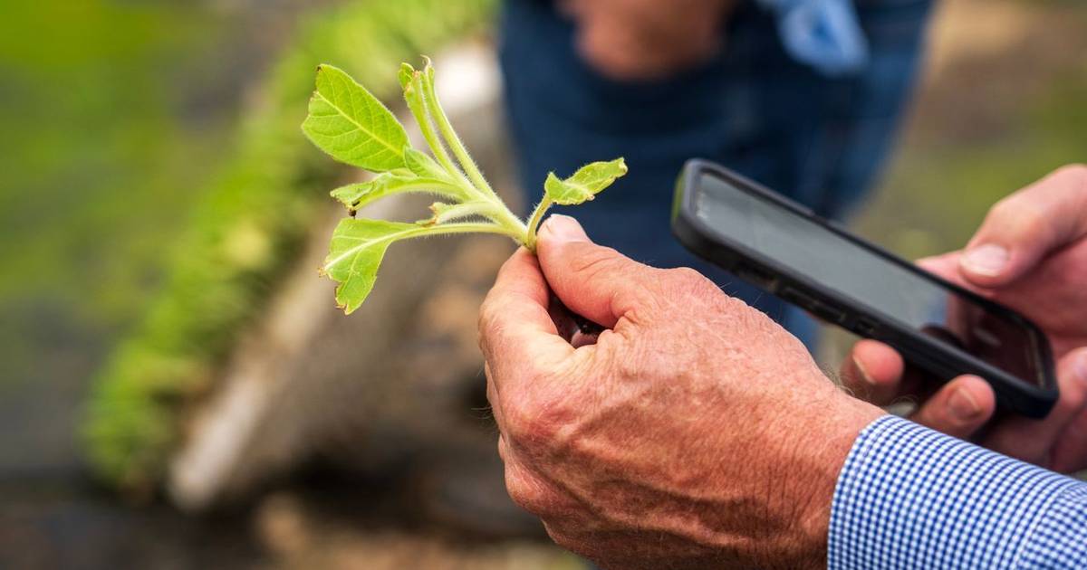 Agricultura nacional está "ao nível do melhor que existe no mundo"