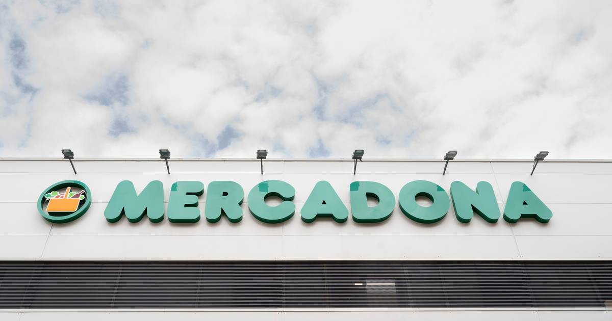 Mercadona contratou detetive para vigiar funcionário. Despediu-o, mas tribunal obrigou multinacional a reintegrá-lo