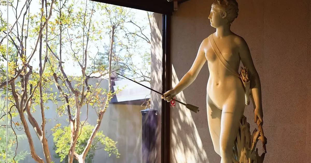 O novo Museu Gulbenkian não é para ver no telemóvel, é para sorver e saborear em pequenos tragos