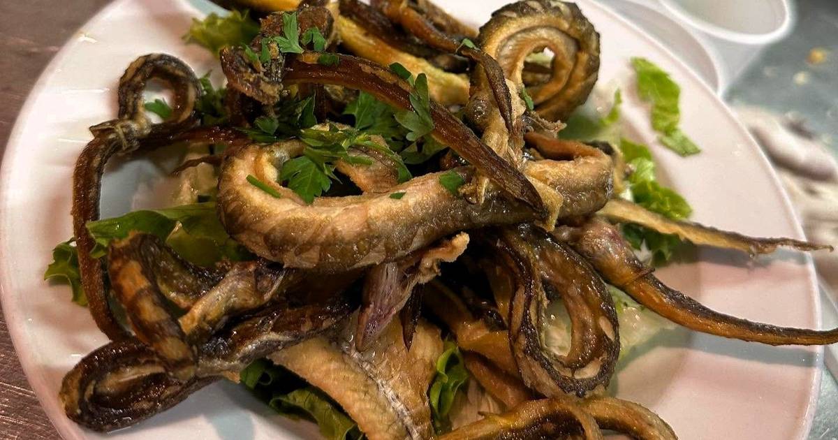 Tascas, cervejarias e marisqueiras: saiba onde petiscar em Aveiro