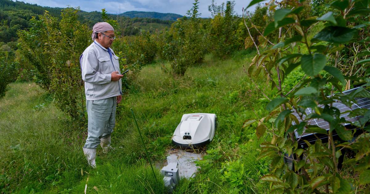 Podem os robôs salvar um Japão envelhecido?