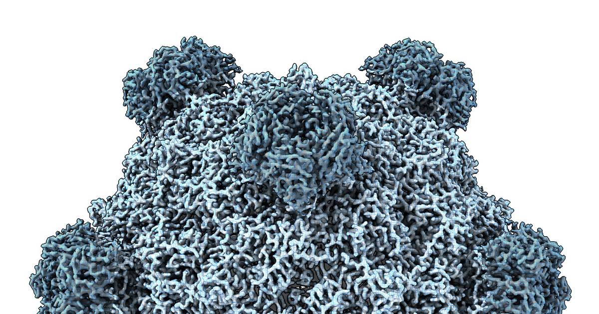 Inteligência artificial cria vírus que não existem na Natureza