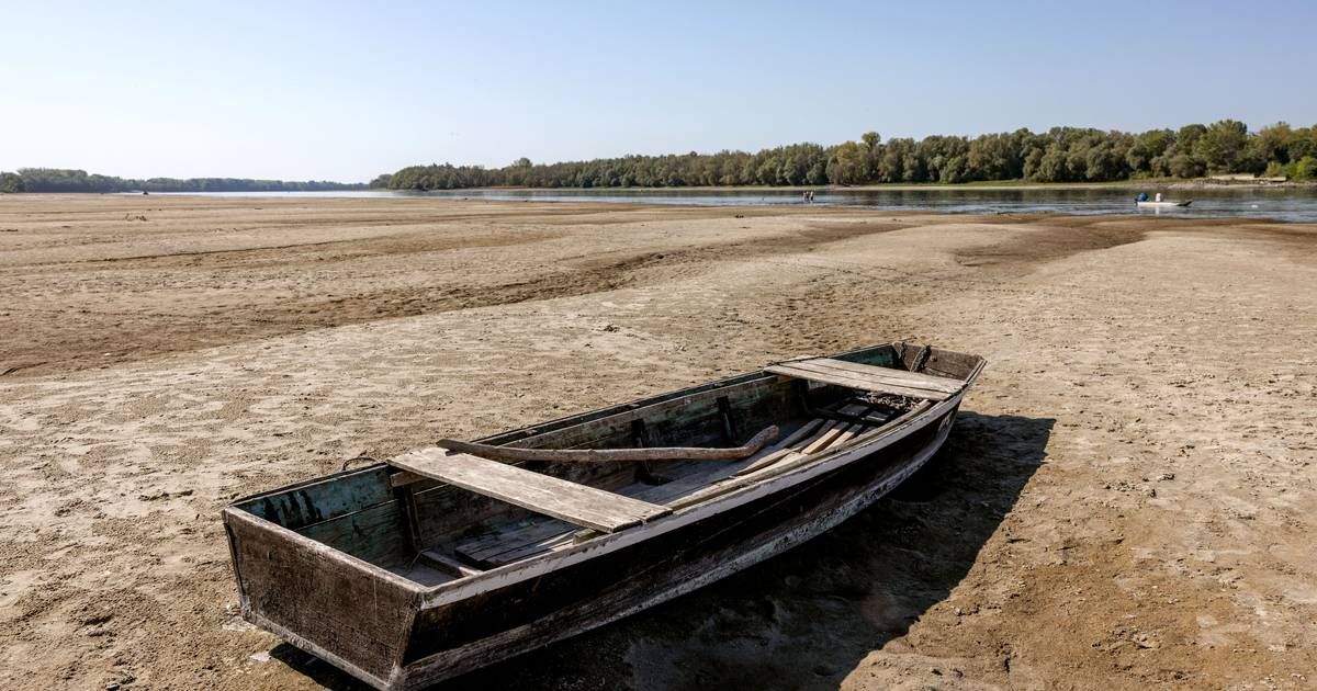 COP17: Ohne Konsens soll das Gipfeltreffen gegen Desertifikation mit einem Aufruf enden, vom Reden zum Handeln zu kommen