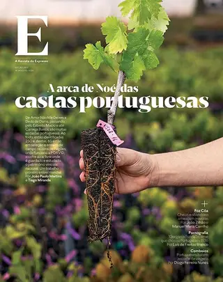 Revista E