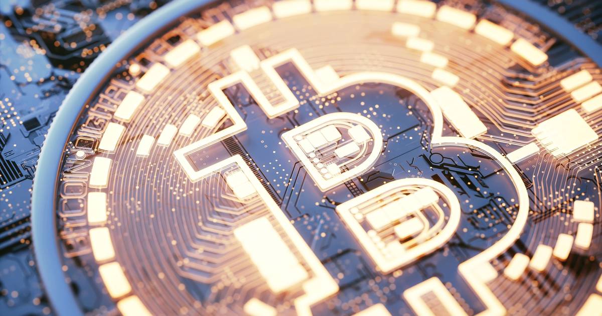 Homem, millennial, com emprego, e à-vontade no mundo financeiro: o perfil-base do investidor "cripto" português