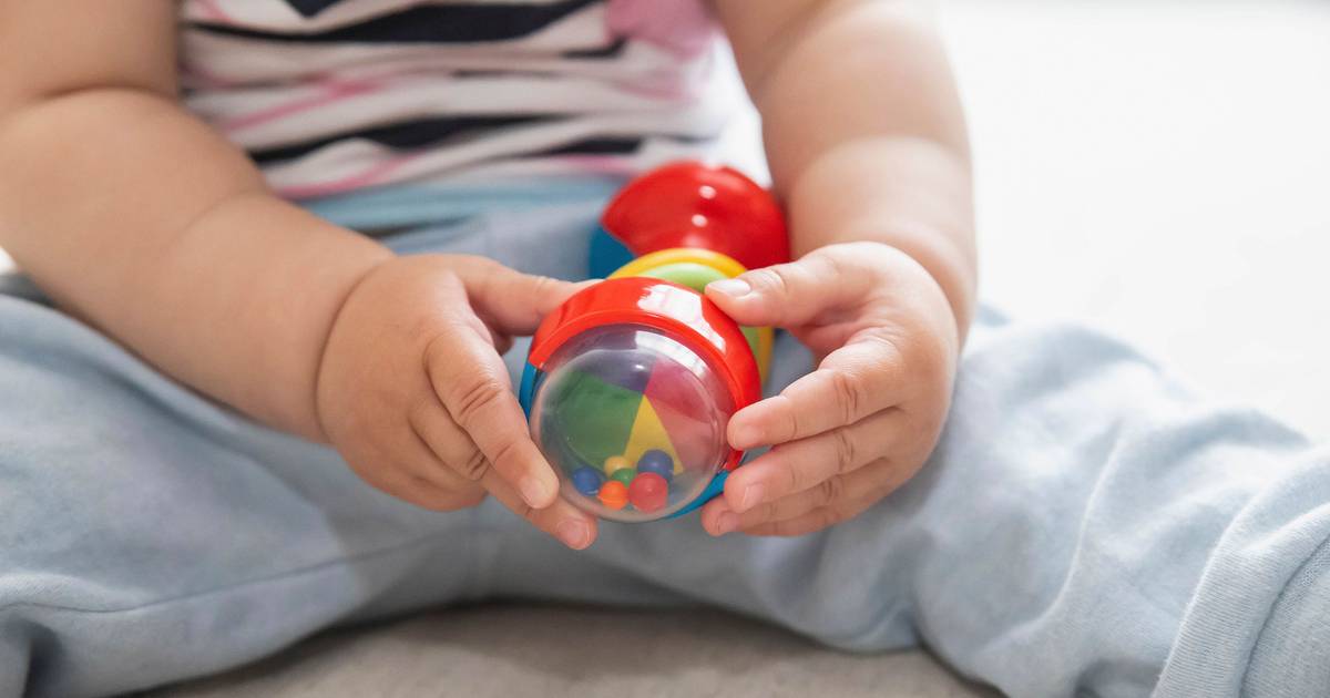 Segurança Social encerra de forma coersiva creche clandestina na Amadora