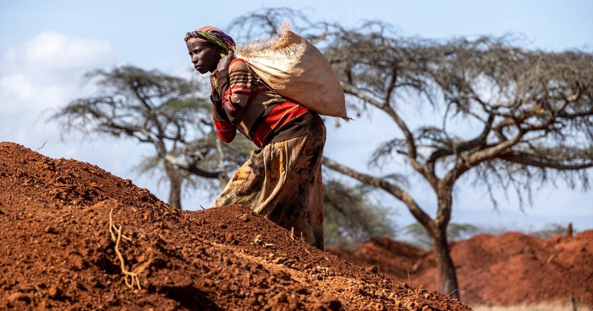 O El Niño já anda aí, este ano é enorme, e aumenta o risco de fome