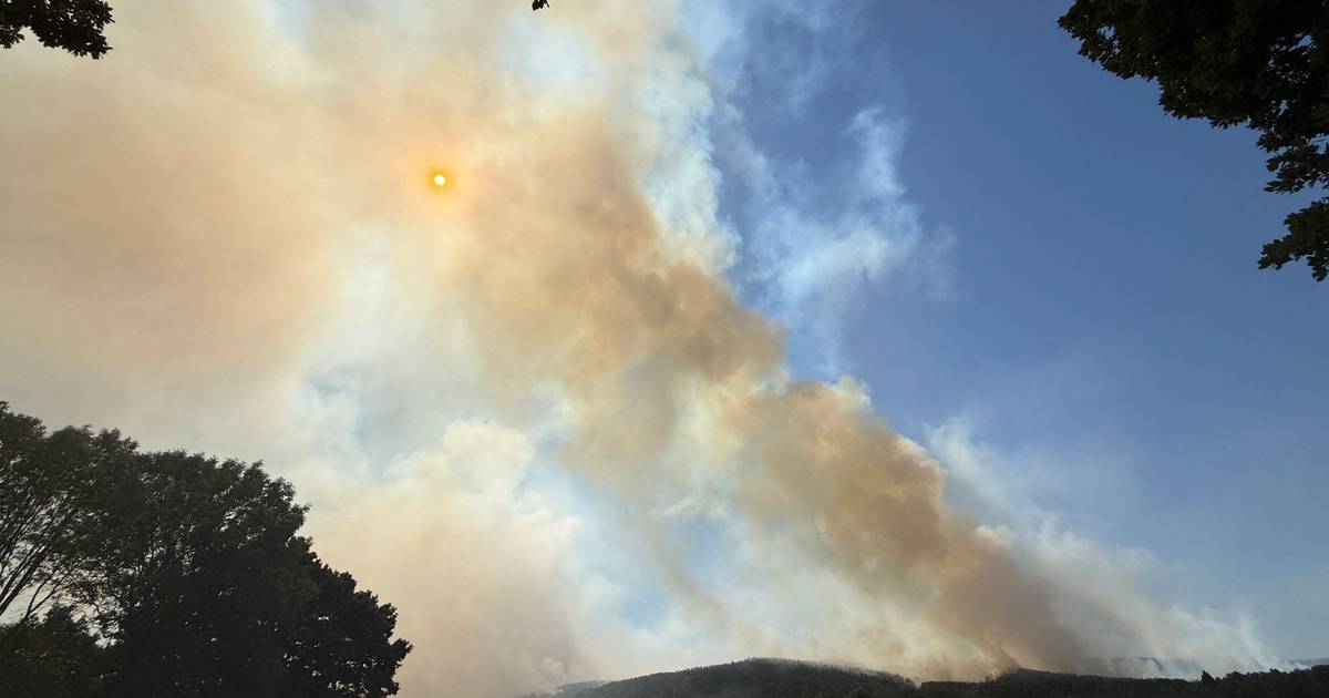 Incêndio florestal na Alemanha obriga à retirada de mais de 2000 pessoas