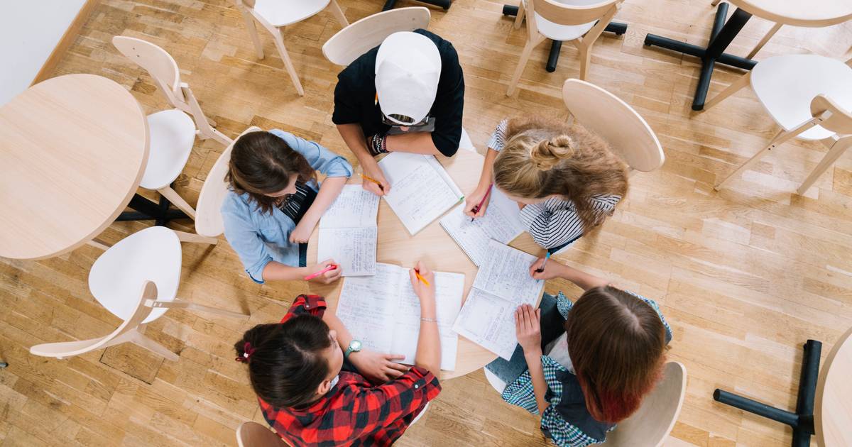 Come sopravvivere ai lavori di gruppo?