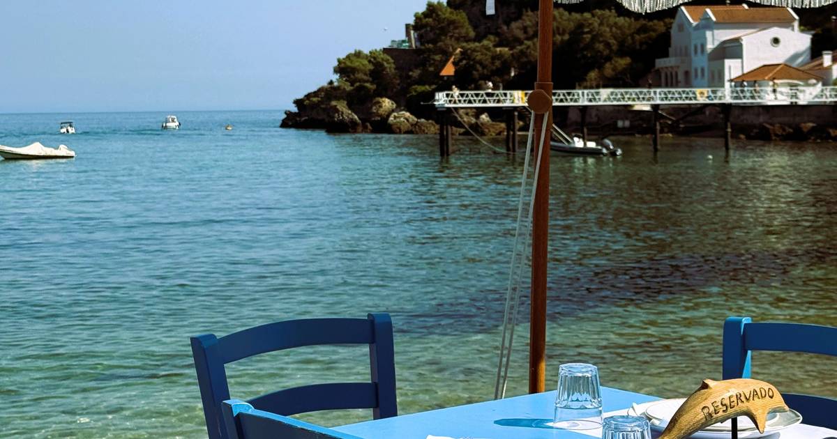 “Sopa de santola”, “Croquetes de garoupa” e “Caril de lagosta com arroz de hibisco”: sente-se à mesa no Portinho da Arrábida