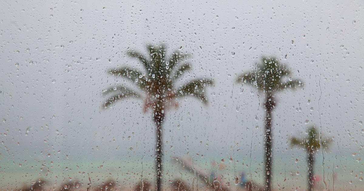 Heavy rain causes ceiling collapse at Oeiras Parque