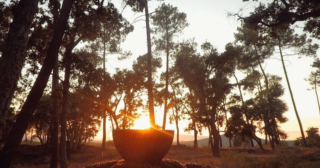 Há banhos de floresta e terapias de bem-estar entre os tesouros da Malcata