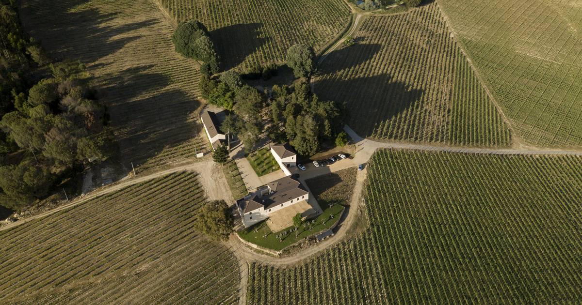 Dão a Porte Aperte: cantine, vini e visite in epoca di vendemmia