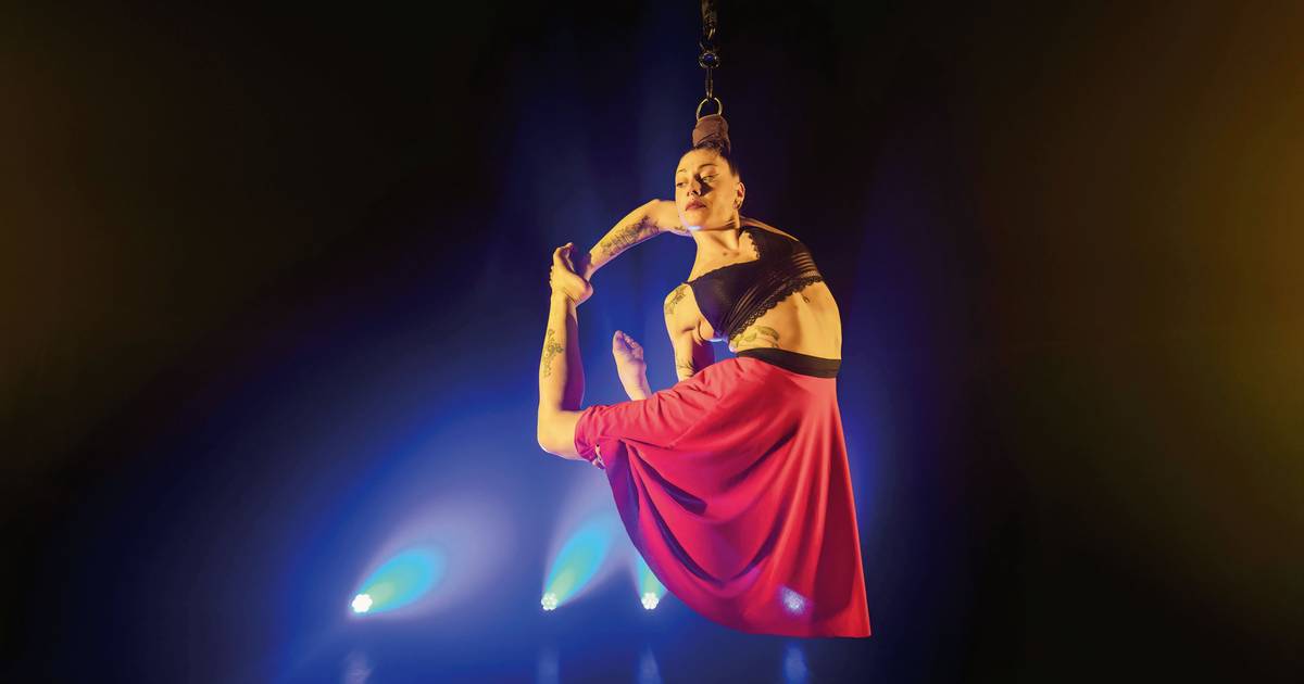 Festival Cúpula in Vila Nova de Gaia: Der Zirkus kommt in die Stadt