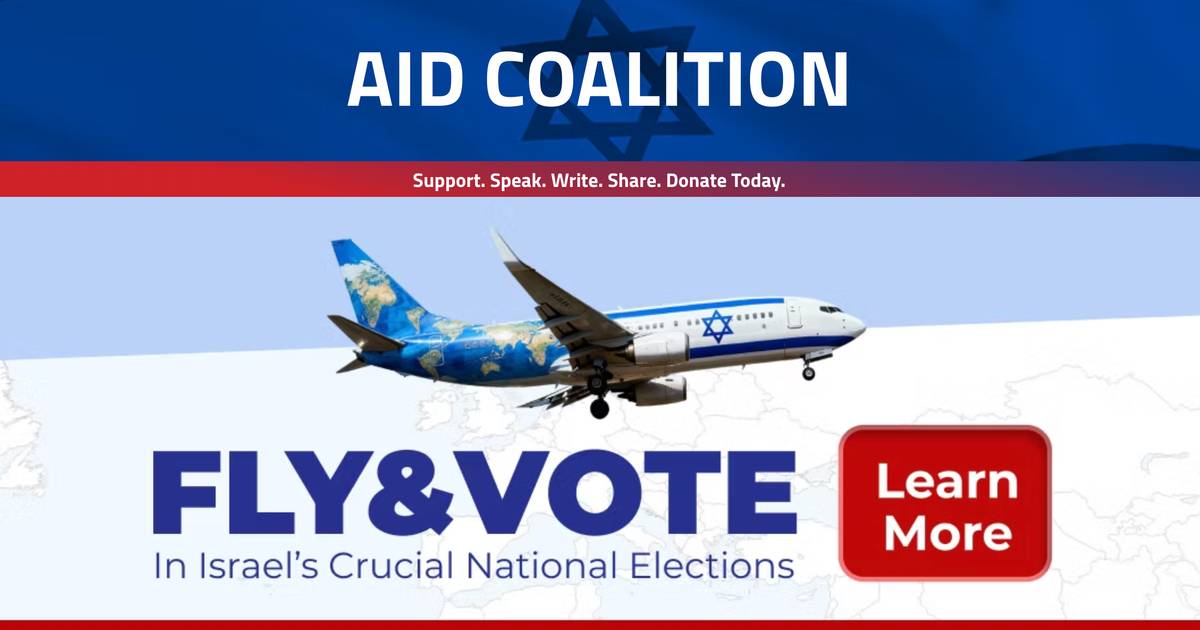 "Fly&Vote": Israele non permette il voto a distanza, la soluzione è volare. "Le persone si sono svegliate. Il nostro modo di vivere è in discussione"