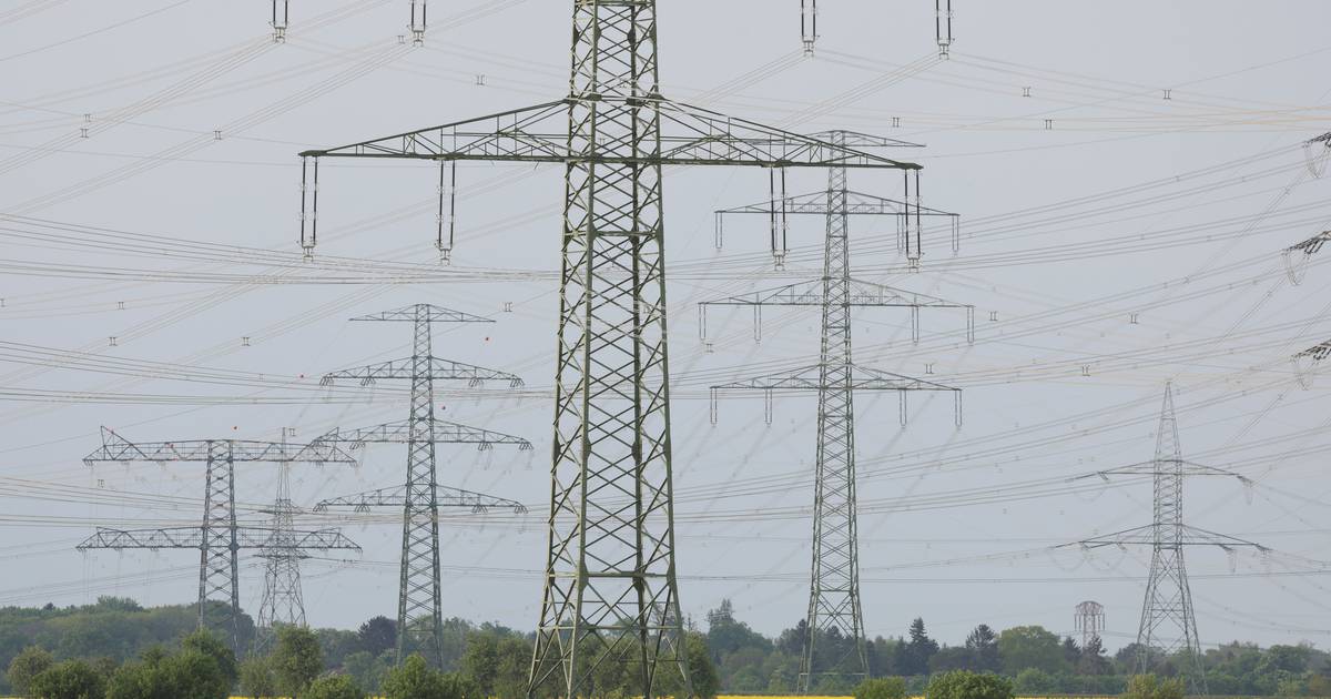 Attivista climatico sospettato di attacchi alla rete elettrica tedesca