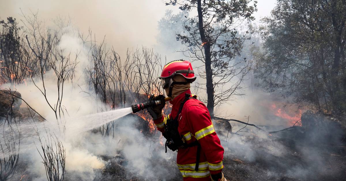 Caldo: sette distretti del Centro e del Sud con allerta gialla, 19 comuni in pericolo massimo di incendio