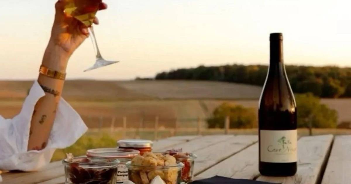 Tra vendemmia, gastronomia e Cante, Vidigueira lancia il festival dedicato al vino e alla cultura dell'Alentejo