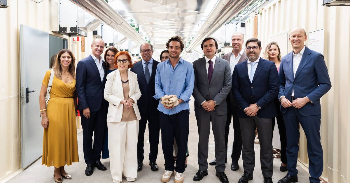 Nãm abre fábrica em Odivelas e triplica produção de cogumelos feitos a partir de borras de café