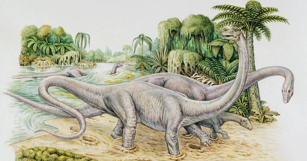 Il primo "diplodoco" d'Europa è stato scoperto in Spagna e rafforza l'ipotesi che i dinosauri "attraversassero" l'Atlantico