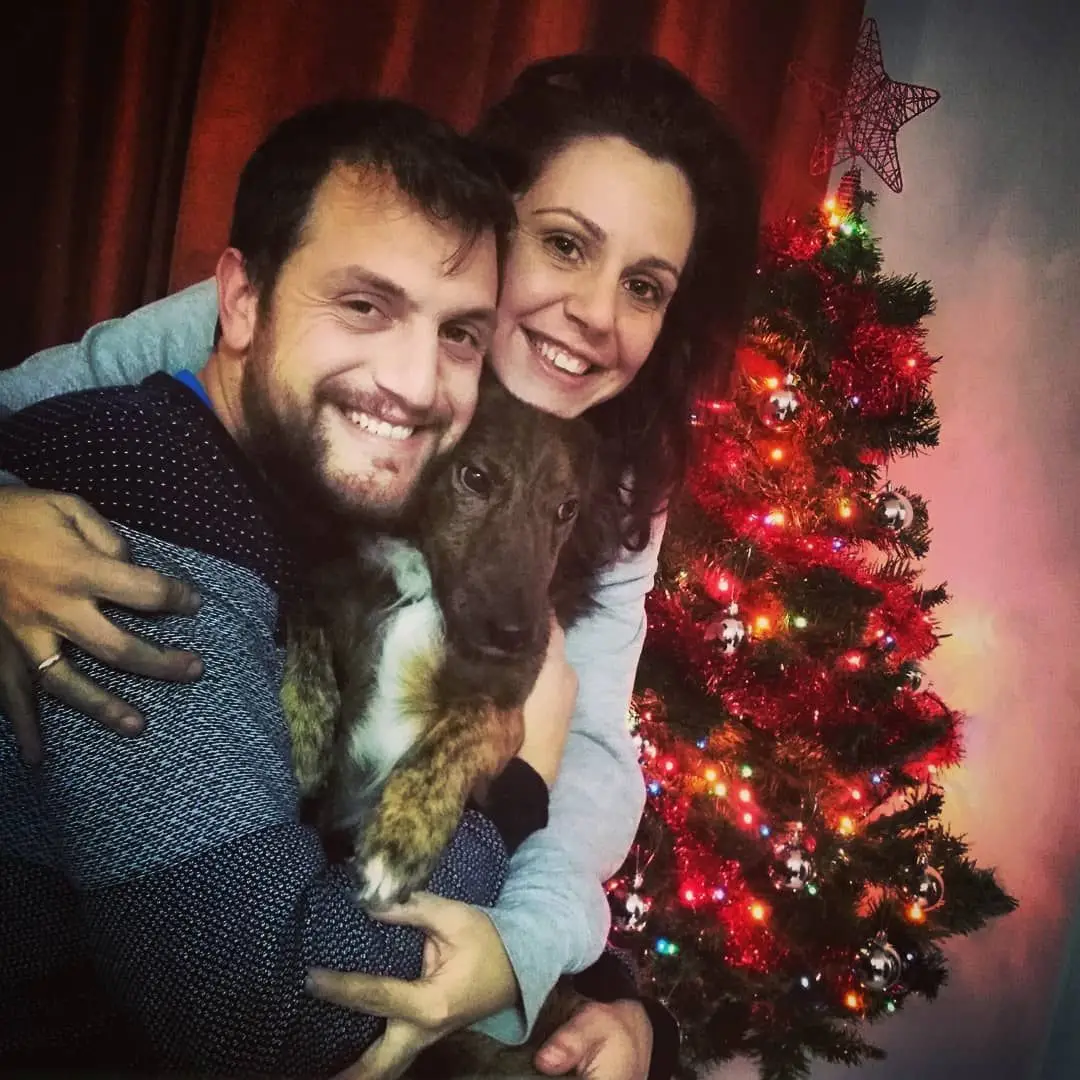 Vasco Cruz e Sara Norte namoram há mais de dois anos e estão noivos