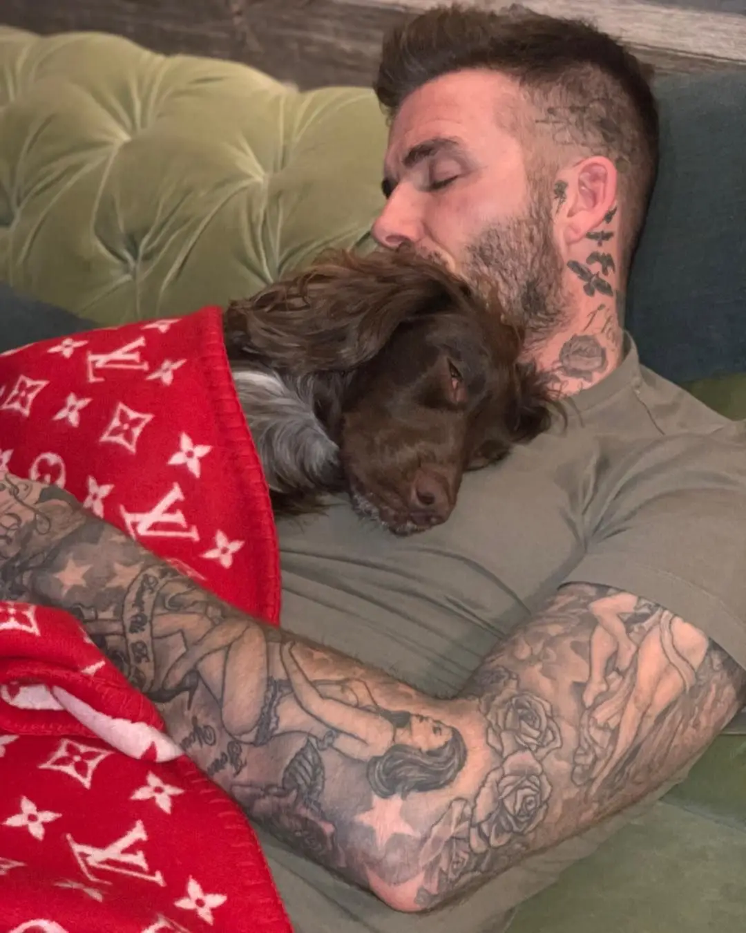 Cadela de David Beckham tem manta de Louis Vuitton e jogador recebe críticas