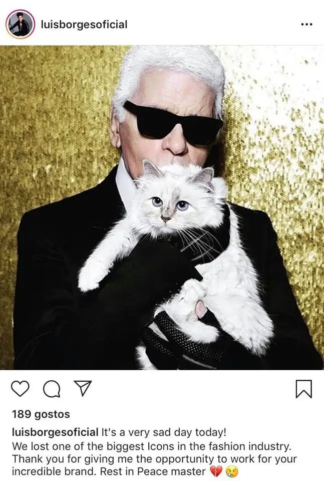 Famosos prestam homenagem a Karl Lagerfeld nas redes sociais