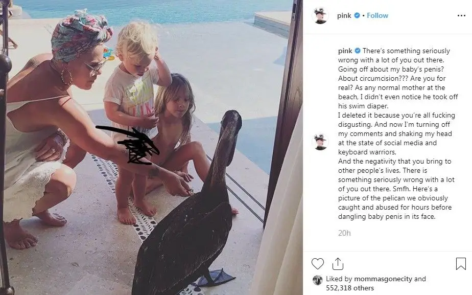 Pink revolta-se com comentários feitos ao filho de dois anos: "Vocês são nojentos"