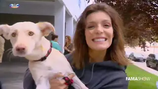 A solidariedade de Andreia Rodrigues no Dia Mundial do Animal