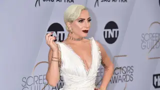 Após violento assalto à mão armada, polícia informa que cães de Lady Gaga já apareceram