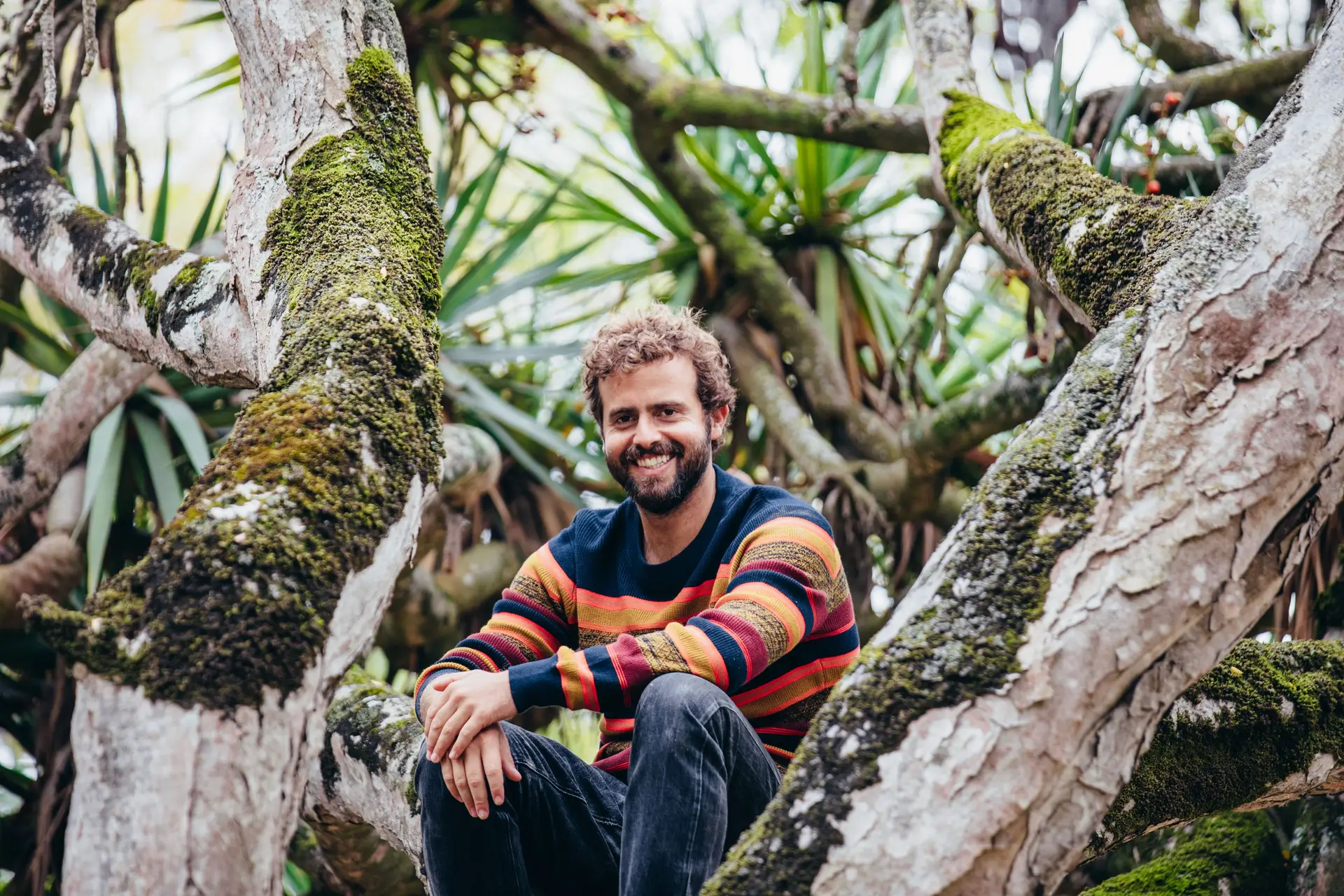 João Manzarra não poupa elogios a 'Árvore dos Desejos': "Podem esperar um programa muito especial e algo que nunca foi feito"