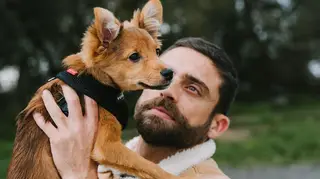 Diogo Amaral revoltado com agressões ao seu cão: "Pontapeado por um humano sem escrúpulos"