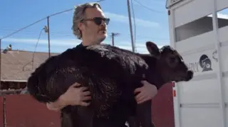 Um dia após ganhar Óscar, Joaquin Phoenix salva vaca e bezerro de matadouro