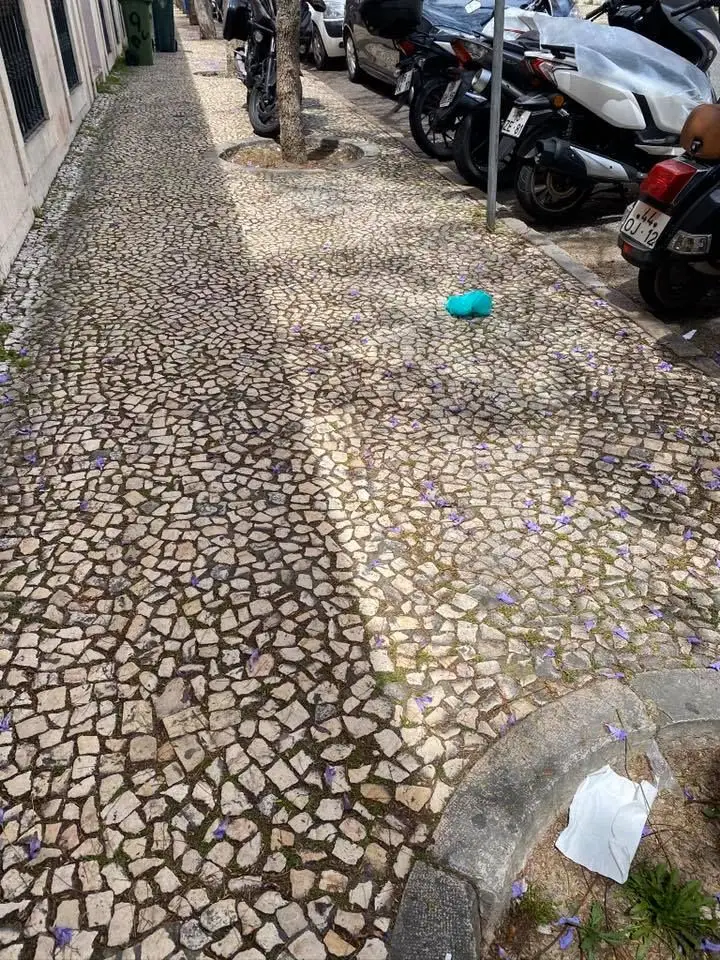Hernâni Carvalho revoltado com o lixo acumulado junto aos hospitais: "Esterco de máscaras e protecções"