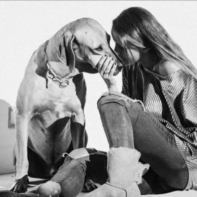 Carolina Patrocínio despede-se de Kruger: "A casa fica mais vazia e a saudade não vai embora"