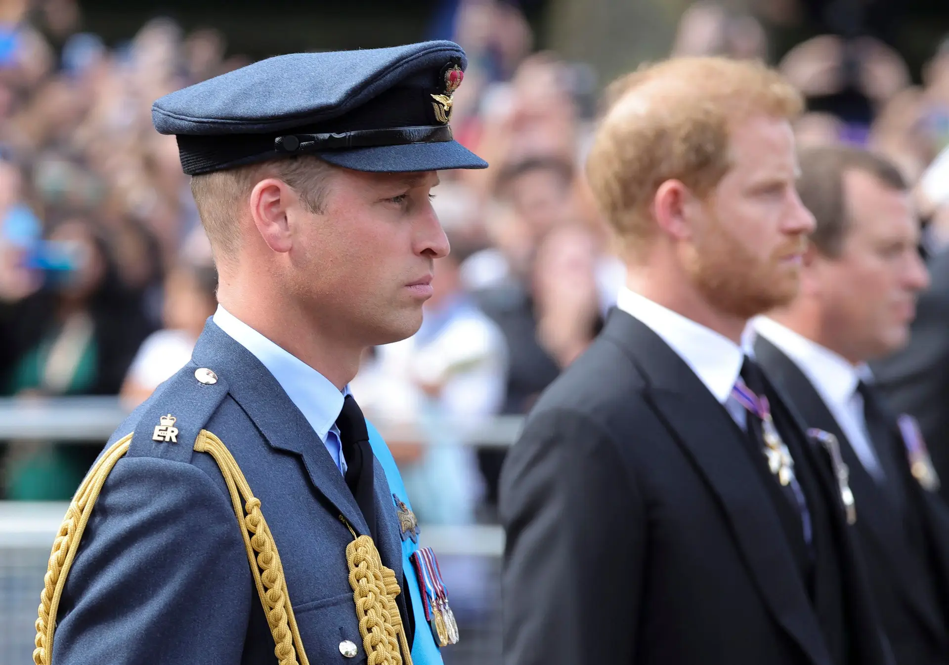 William e Harry