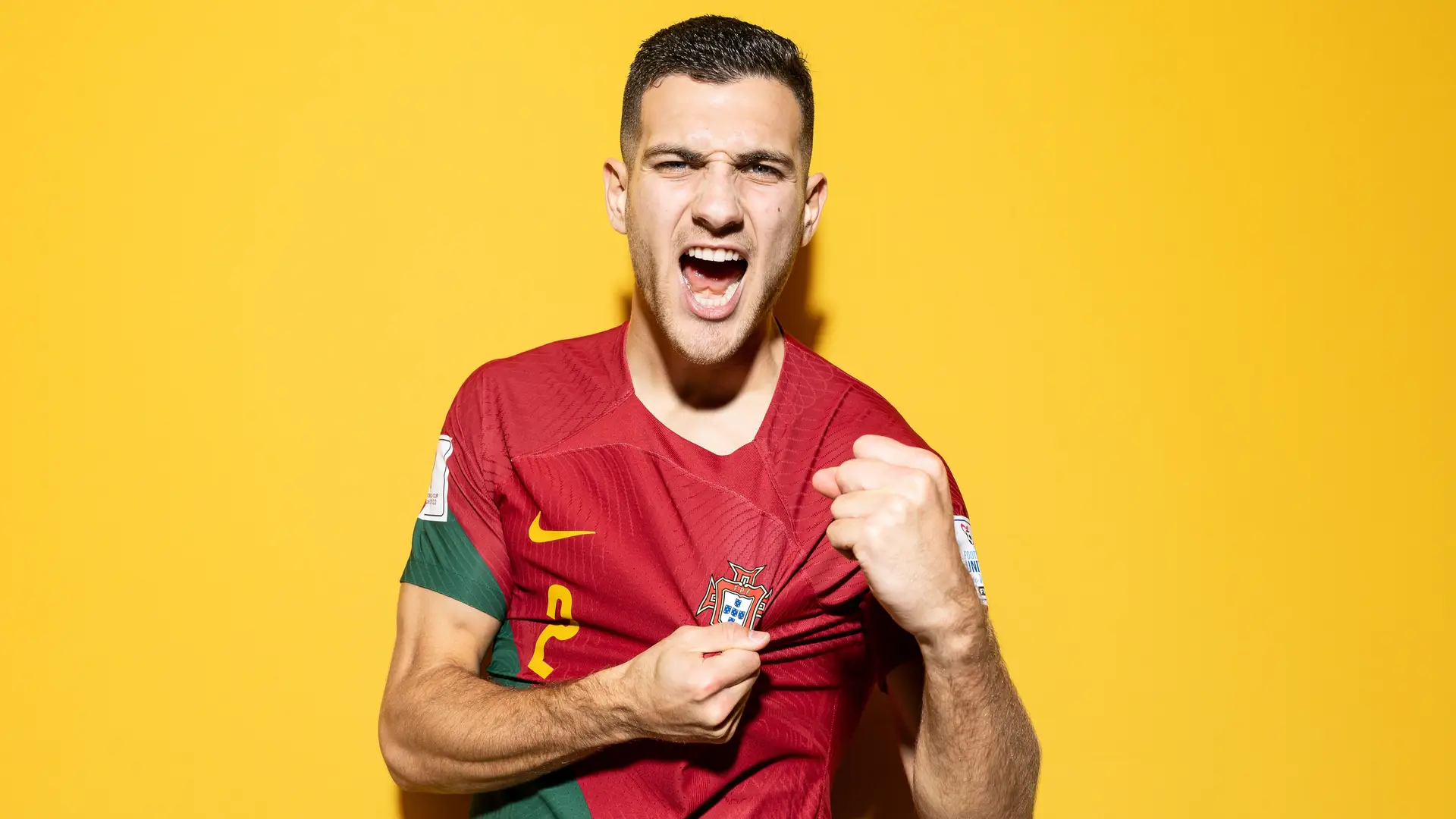 Diogo Dalot