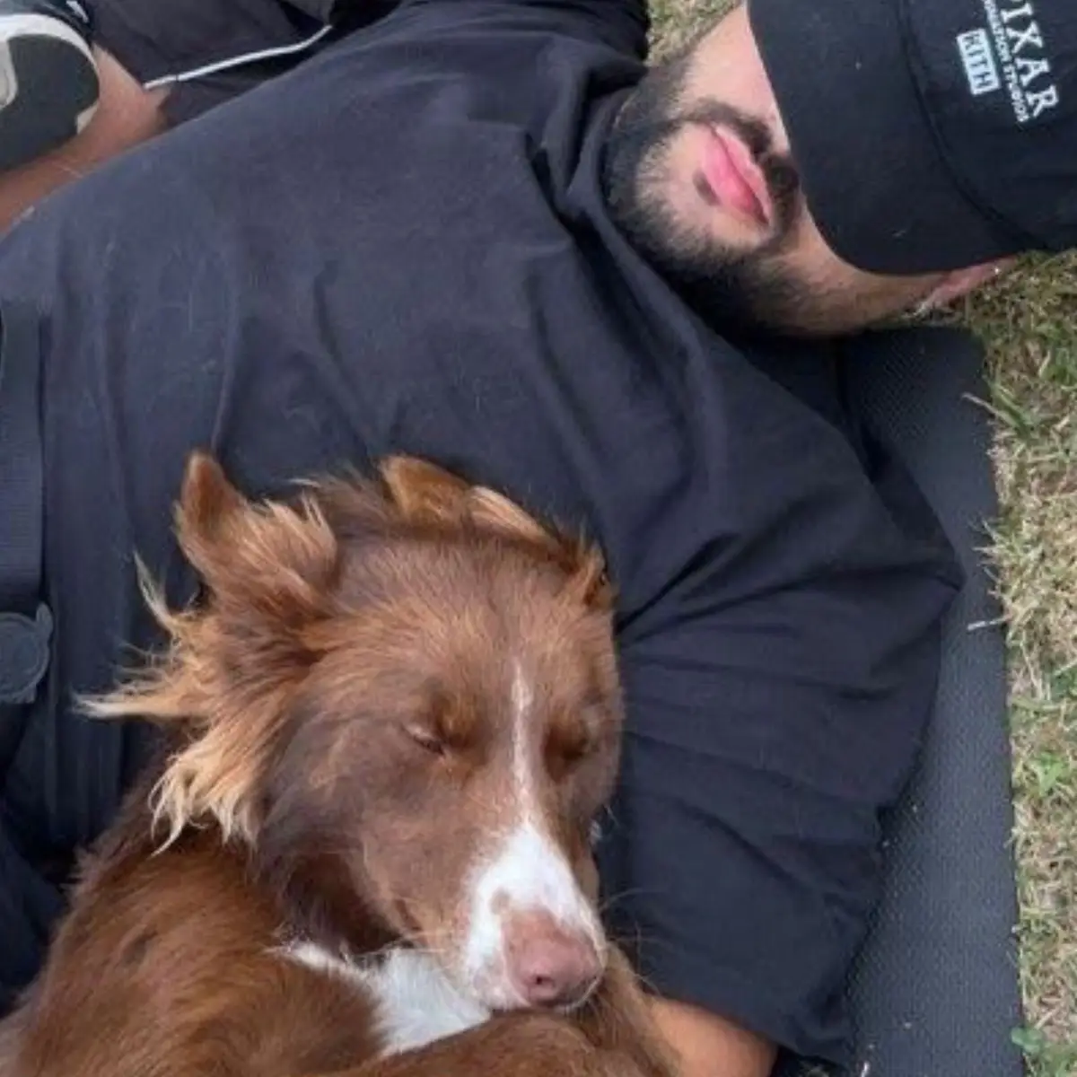 Influencer é acusado de abandonar cadela e reage: "É um absurdo o que estão  a dizer" - Fama Show
